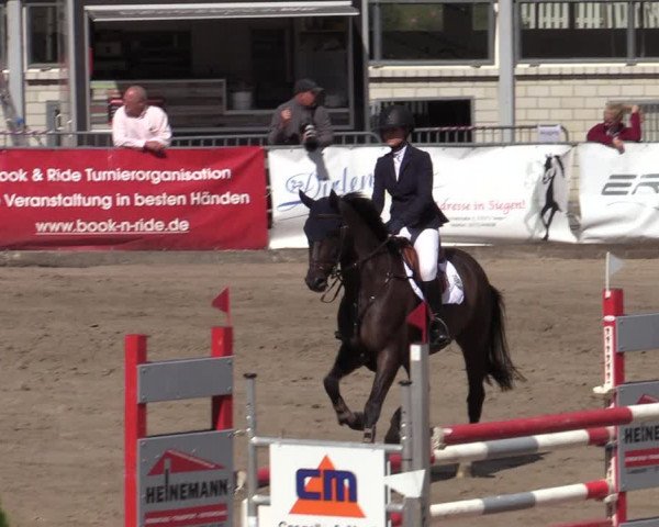 Reitturnier Siegen 2020