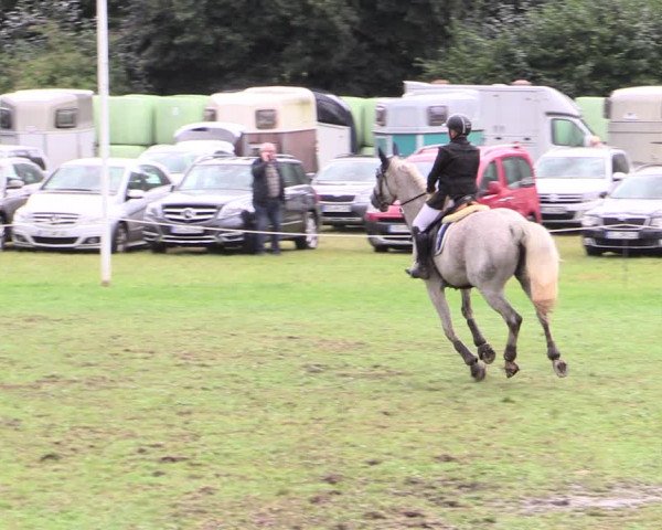 Reitturnier Hanerau-Hademarschen 2020