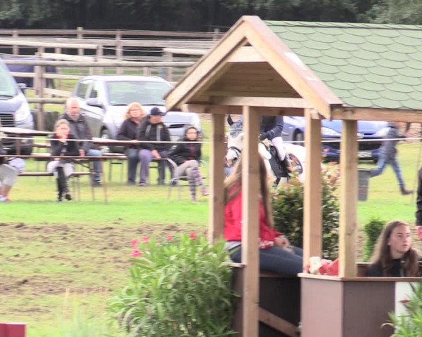 Reitturnier Hanerau-Hademarschen 2020