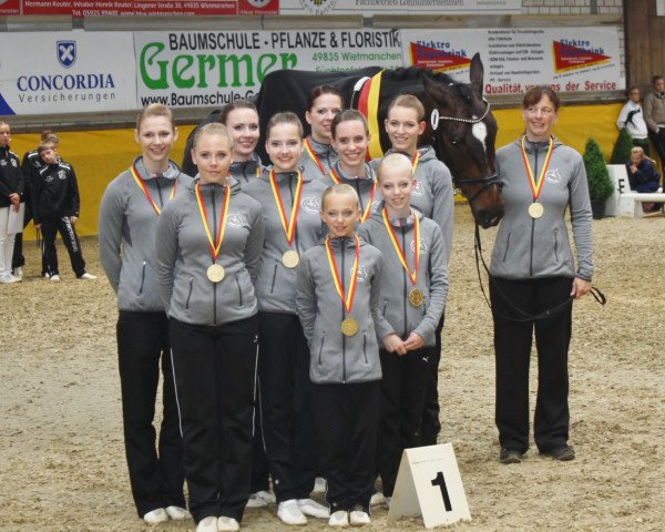 jumper Chocoli Diamond (Hanoverian, 2004, from El Bundy)