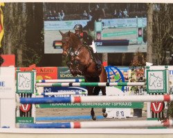 jumper Feruccio Tt (Hanoverian, 2007, from For Edition)