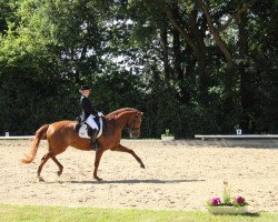 dressage horse Larfides (Rhinelander, 2005, from Lord Loxley I)