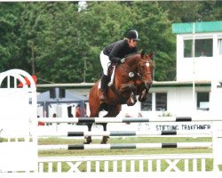 jumper Paruna (Trakehner, 2001, from Graziello)