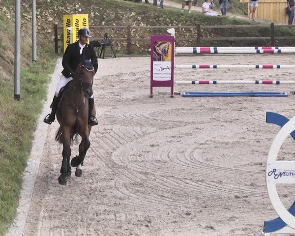 Reitturnier Bübinger Hof 2020