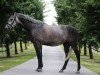 jumper Curt 23 (German Warmblood, 2010, from Colestus)