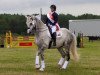 dressage horse Don Latino 2 (Holsteiner, 2003, from Dolany)