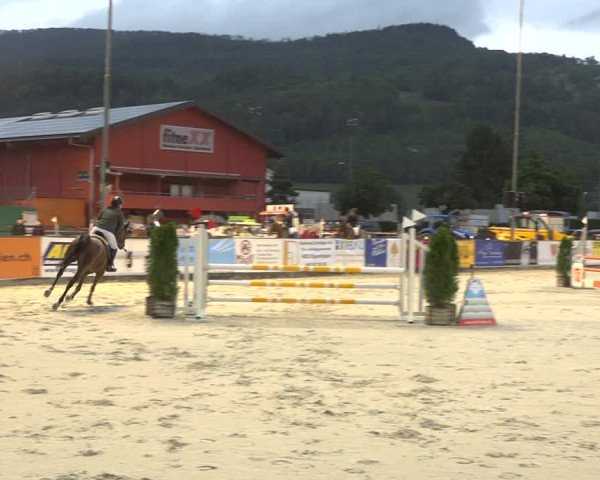 Reitturnier Balsthal 2020