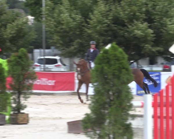Reitturnier Balsthal 2020