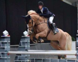 jumper Irca van de Eilandhoeve (Belgisches Warmblut, 2008, from Enrico van de Withoeve)