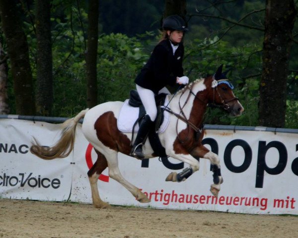 dressage horse Satana X (German Riding Pony, 2000)