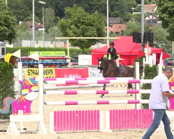 Reitturnier Balsthal 2020