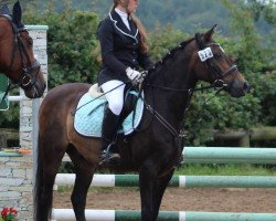 jumper Captain Cook ES (German Riding Pony, 2001, from Cyros)