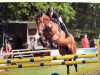 broodmare Quality 18 (Oldenburg, 2002, from Quattro B)