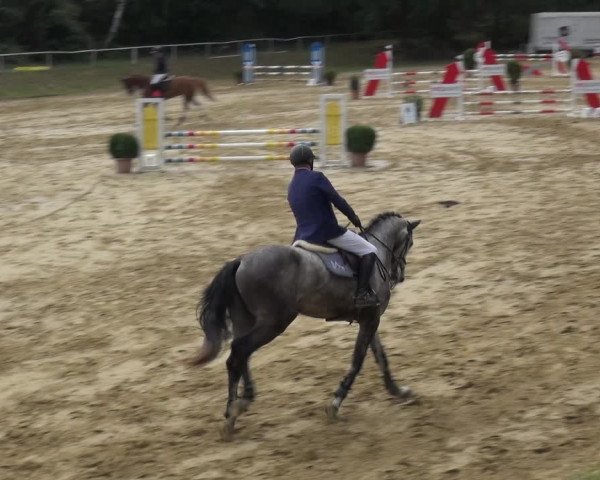 Reitturnier Viersen-Dülken 2020