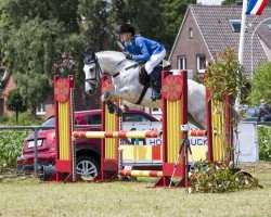 jumper Cuzorra (KWPN (Royal Dutch Sporthorse), 2009, from Corland)