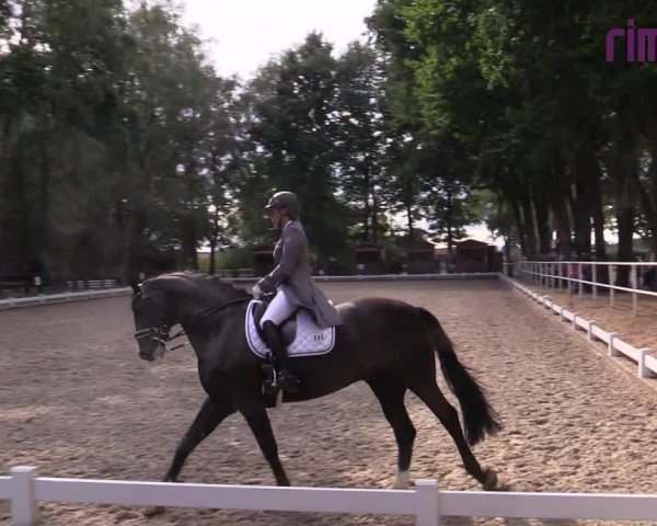 Reitturnier Heiden 2020