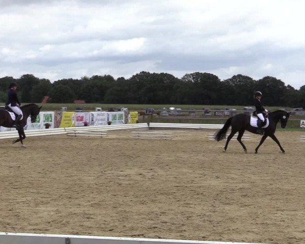 Reitturnier Ostbevern 2020