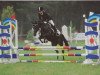 broodmare Daintiness (German Riding Pony, 2002, from Calli's Hope)