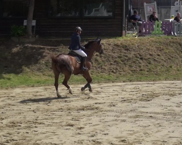 Reitturnier Viersen-Dülken 2020
