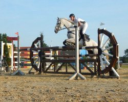 broodmare Larissa 798 (Westphalian, 2006, from Lacordos)