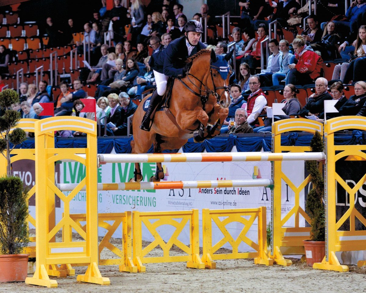 Springpferd Csarano D'Argilla Z (Zangersheide Reitpferd, 2004, von Coriano)
