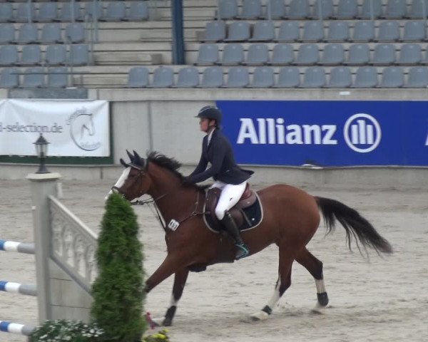 Reitturnier Aachen 2020