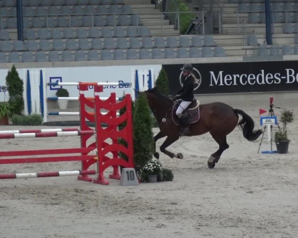 Reitturnier Aachen 2020