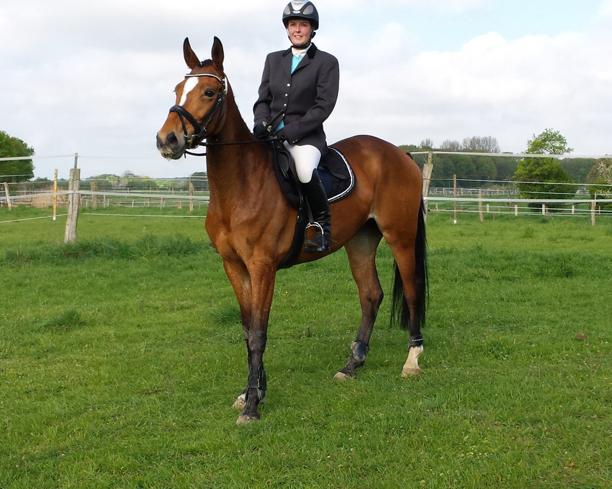 Springpferd Chayenne S (Westfale, 2009, von Christiano)