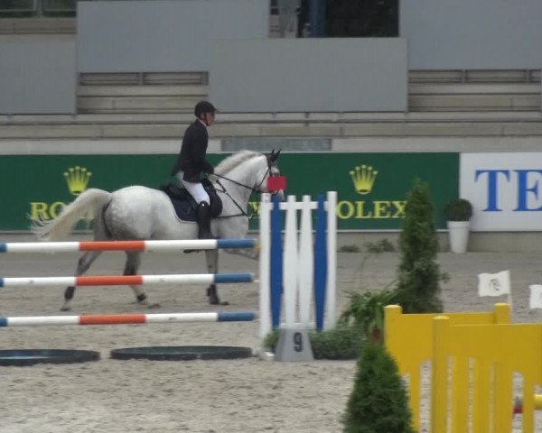 Reitturnier Aachen 2020