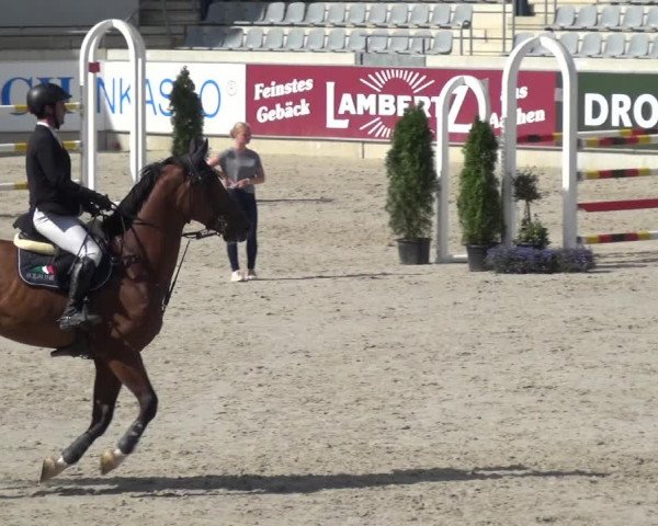 Reitturnier Aachen 2020