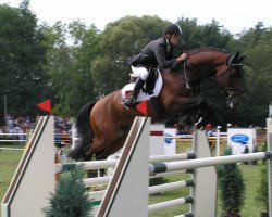 jumper Volonter T (Czech Warmblood, 1997, from Voltaire)