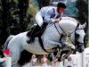 stallion Sahib Kubista (Czech Warmblood, 1990, from Sahib-5)