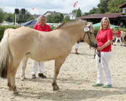 broodmare Olea (Fjord Horse, 2009, from Ohlsen)