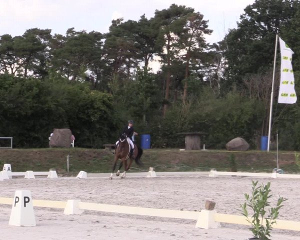 Reitturnier Pietzpuhl 2020