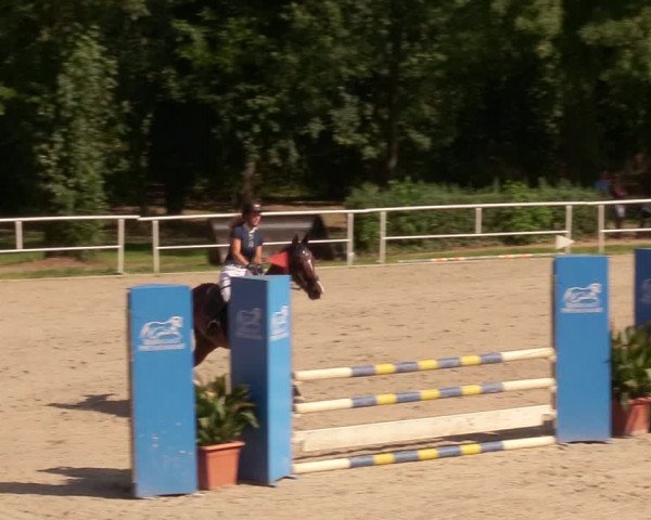 Reitturnier Prussendorf 2020