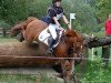 jumper Mac Ide (German Riding Pony, 2000, from Maccardo)