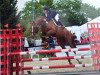 jumper Jasira 3 (Oldenburg, 2010, from Junior Mariner)