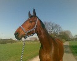 broodmare Patria (Rhinelander, 2001, from Pretty Dancer)