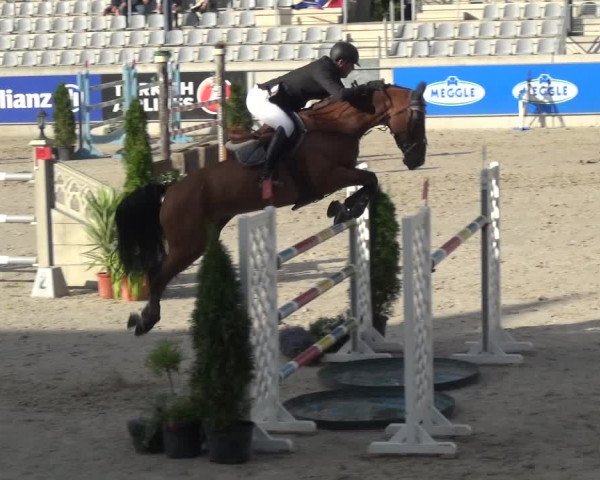 Reitturnier Aachen 2020