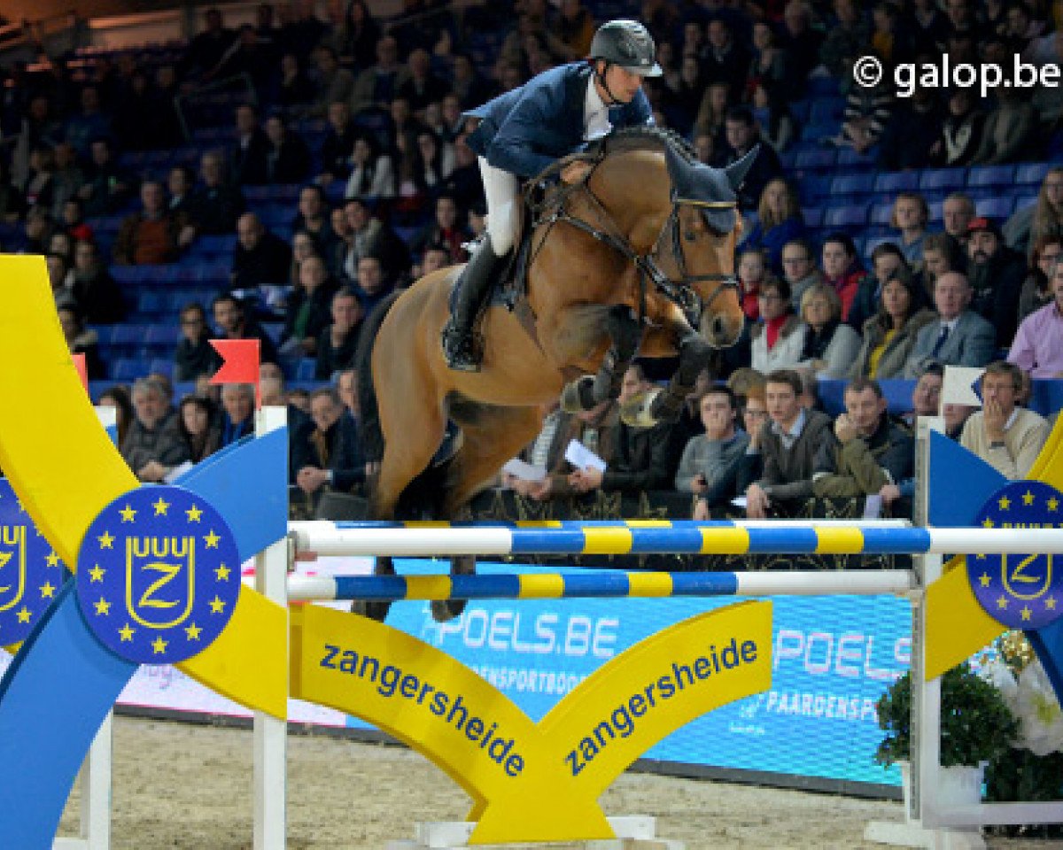 stallion Cumthago C (Holsteiner, 2008, from Cumano)