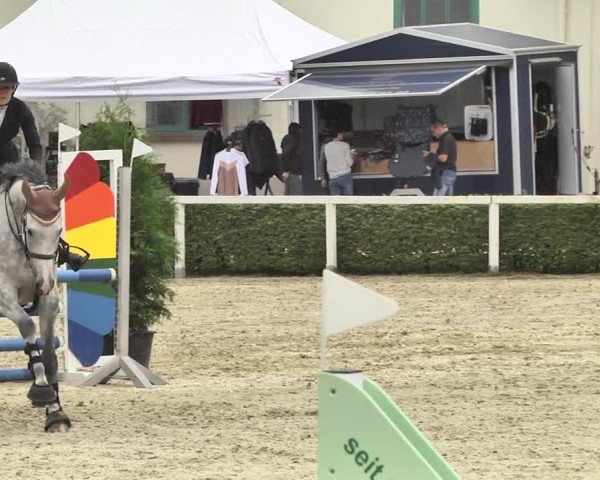 Reitturnier St.Wendel, Gestüt Welvert 2020