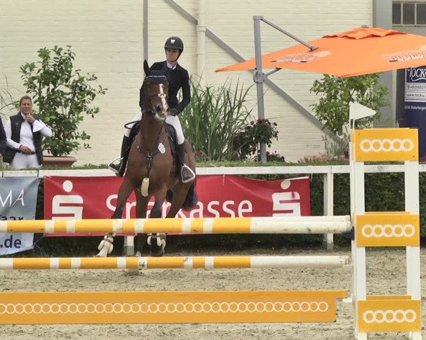 Reitturnier St.Wendel, Gestüt Welvert 2020