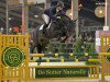 stallion Karmel van de Watering (Belgian Warmblood, 2010, from Diamant de Semilly)