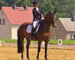 dressage horse Diva Rubina II (Oldenburger, 2008, from Dr. Jackson D)