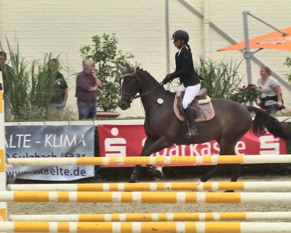 Reitturnier St.Wendel, Gestüt Welvert 2020