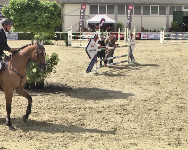 Reitturnier St.Wendel, Gestüt Welvert 2020