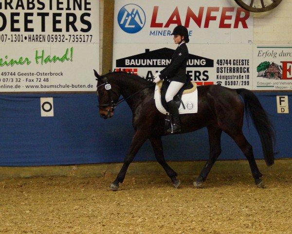 dressage horse Mimiteh 2 (unknown, 2009)