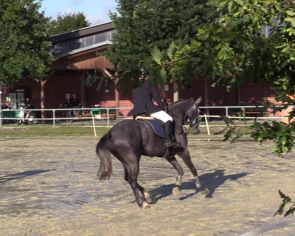 Reitturnier Ascheberg 2020