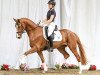 dressage horse Frizzante Rosso (Hanoverian, 2011, from Fuechtels Floriscount OLD)