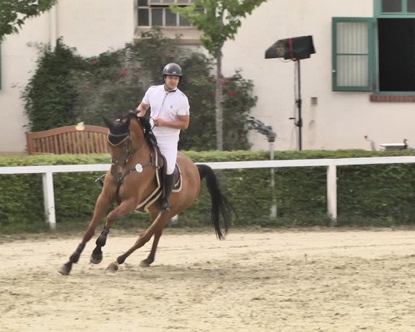 Reitturnier St.Wendel, Gestüt Welvert 2020